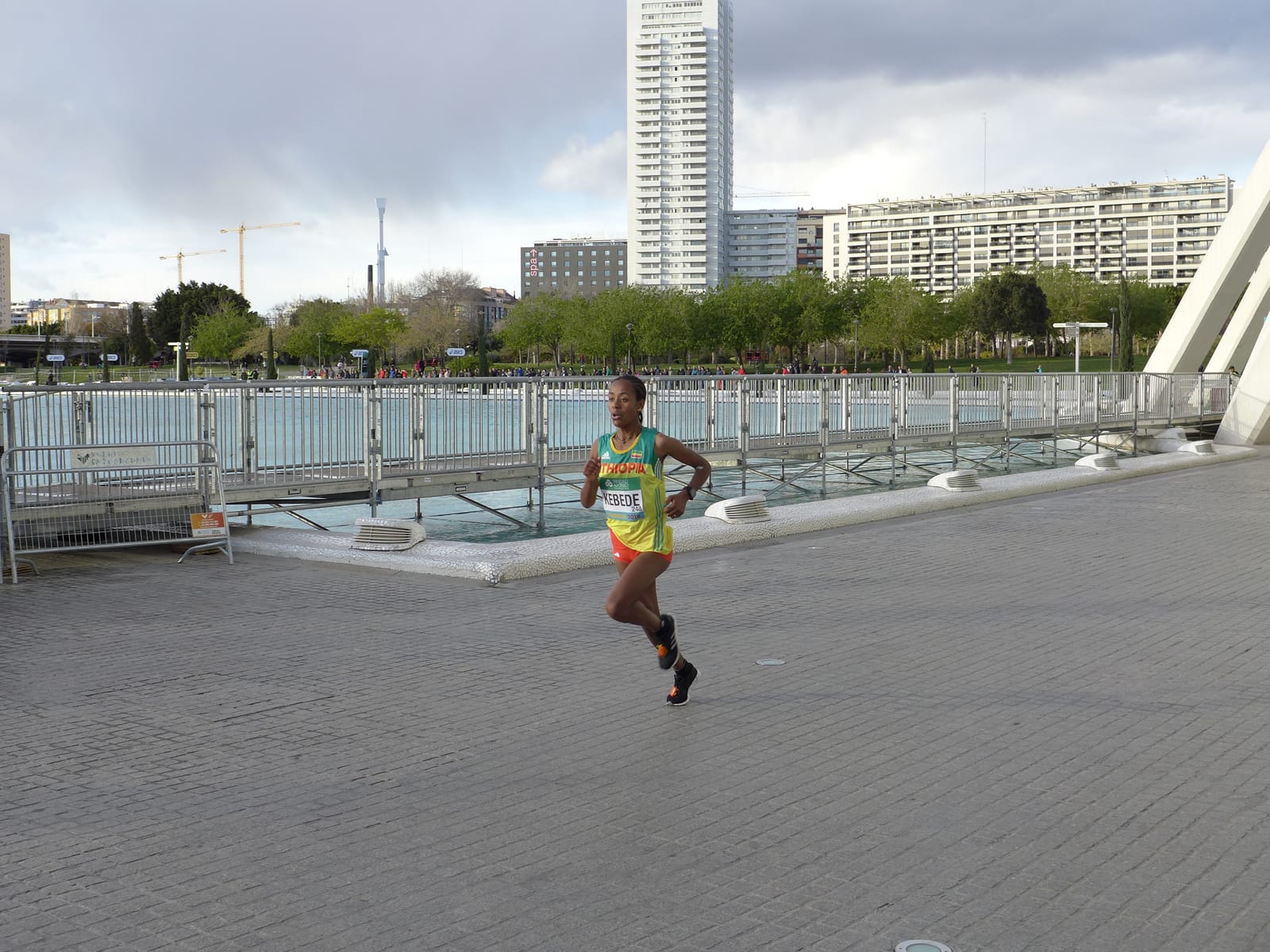 Una atleta cruza la meta del medio maratón de Valencia.