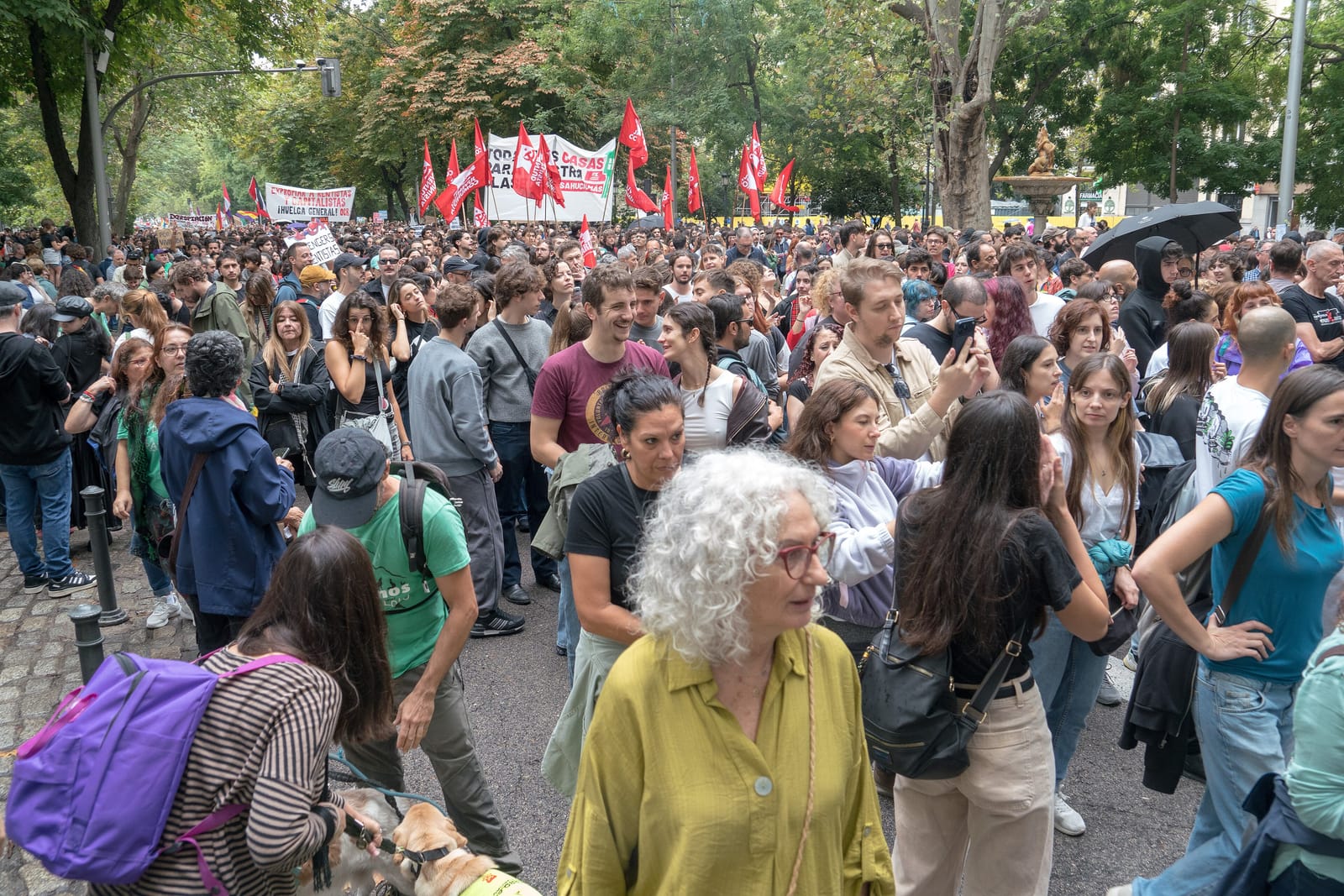 Multitud de manifestantes en una calle arbolada durante una protesta por el derecho a la vivienda.