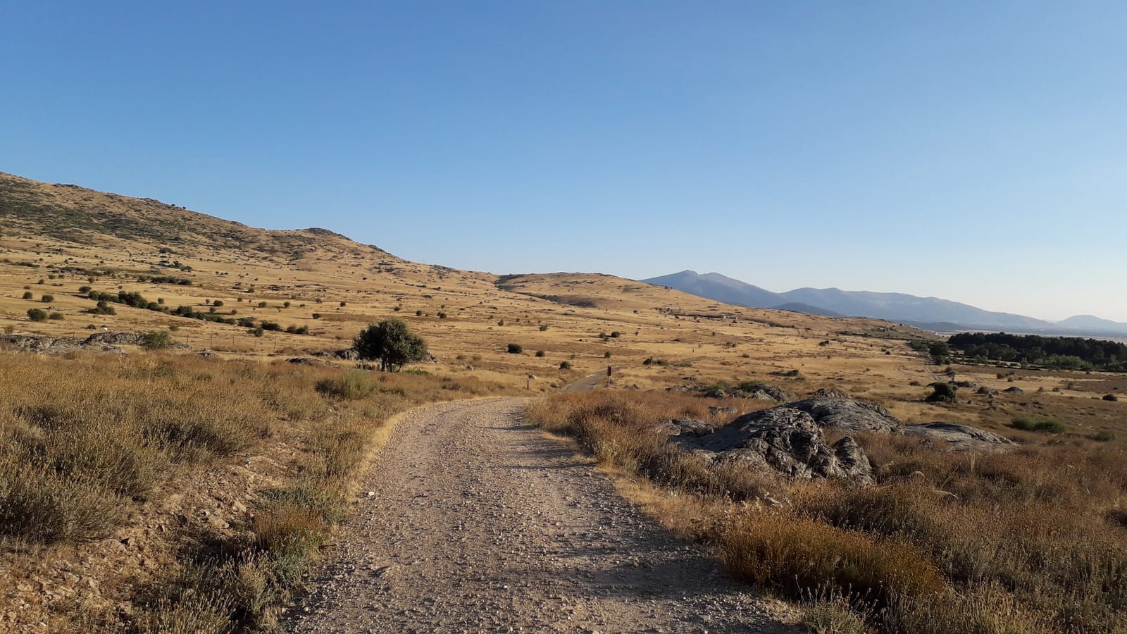 Camino de tierra de la Cañada Real Soriana Occidental, en Segovia, entre pastizales secos, con una sierra al fondo y cielo despejado.